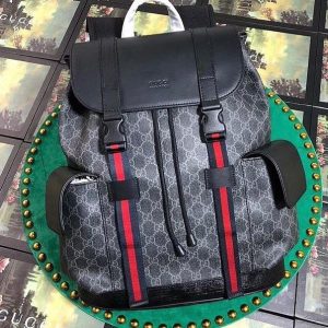 Designer Luxury Backpack Pallets