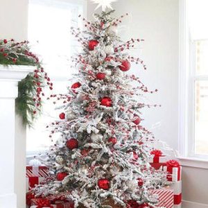 Christmas Tree for sale