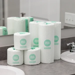 Paper Towel (Toilet Paper)