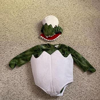 WhatsApp-Image-2025-06-25-at-19.19.31